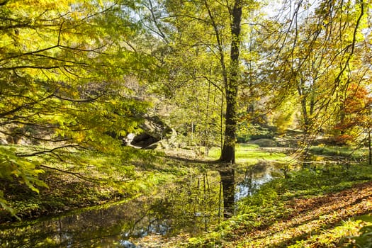 Autumnal forest landscape with river