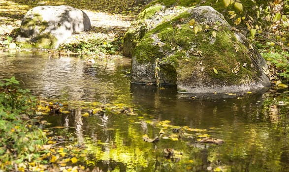 River and stones in autumn forest