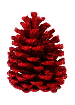 Red fir cone brightened