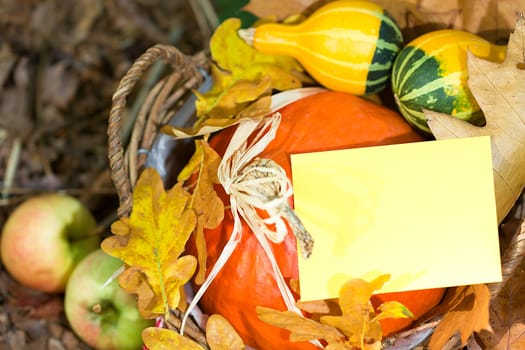 Photo shows a closeup of an autumn various vegetable with the greeting card.