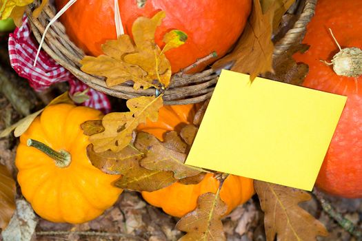 Photo shows a closeup of an autumn various vegetable with the greeting card.