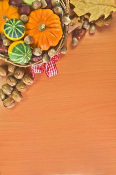 Photo shows a closeup of a various autumn vegetable background.