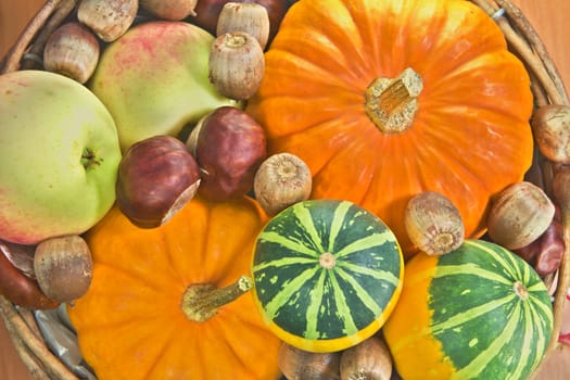 Photo shows a closeup of a various autumn vegetable background.