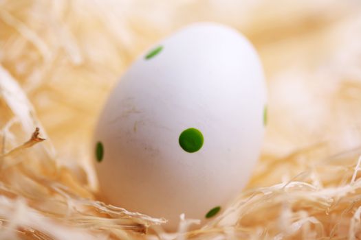 white easter egg with green spots on straw 