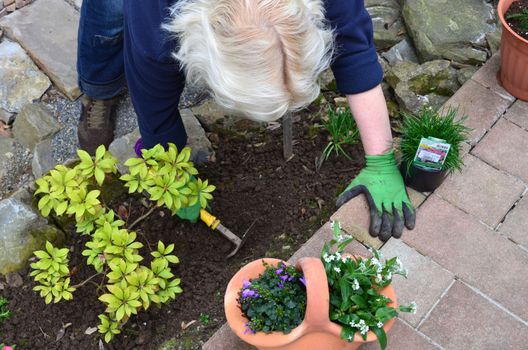 Blonde woman working in the garden in spring
