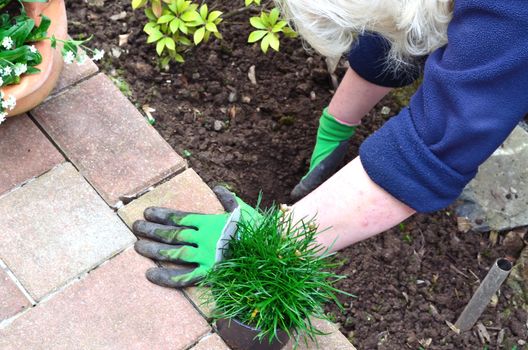 Woman working in the garden