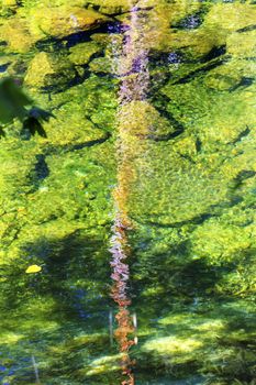 Summer Colors Reflection Wenatchee River Stevens Pass Leavenworth Washington