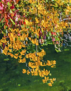 Yellow Red Leaves Fall Colors Reflection Wenatchee River Stevens Pass Leavenworth Washington