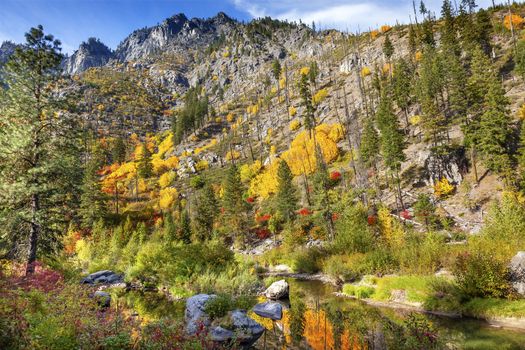 Fall Yellow Red Green Colors Reflection Wenatchee River Reflections Stevens Pass Leavenworth Washington