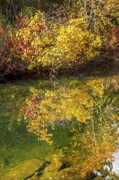 Yellow Red Leaves Fall Colors Green Water Reflection Abstract Wenatchee River Stevens Pass Leavenworth Washington