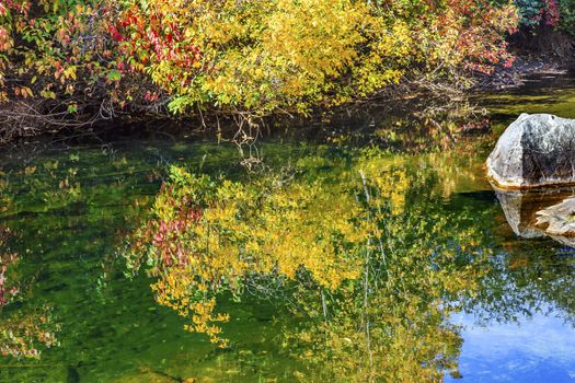 Yellow Red Leaves Fall Colors Green Water Reflection Abstract Wenatchee River Stevens Pass Leavenworth Washington