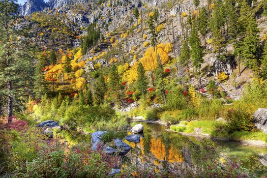 Fall Yellow Red Green Colors Reflection Wenatchee River Reflections Stevens Pass Leavenworth Washington