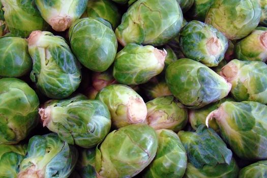 fresh brussel sprouts