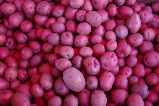 red potatoes