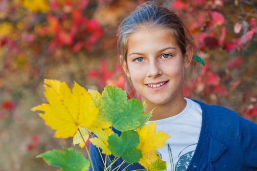 Portrait of Adorable cute girl with autumn leaves in the beauty park