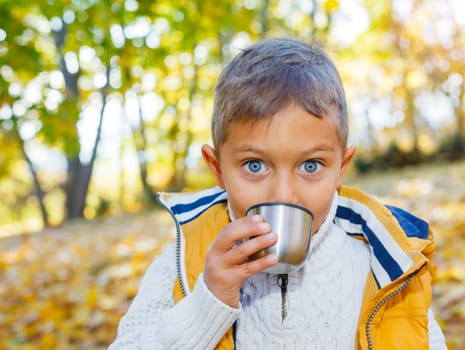 Portrait of Adorable cute boy resting and drinking tea from a thermos in the beauty autumn park 