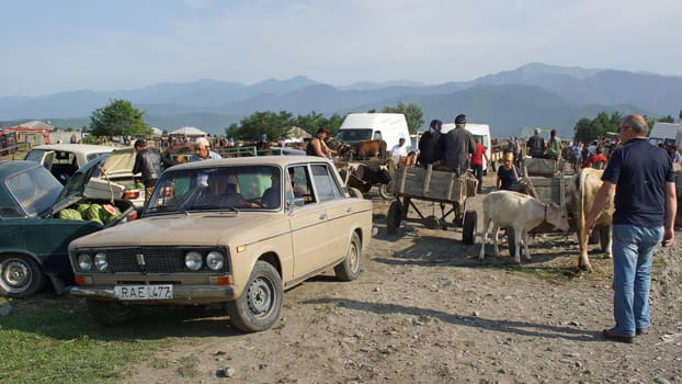 KABALI, GEORGIA - JULY 6, 2014: Characteristic scene on the cattle market of Kabali on July 6, 2014 in Georgia, Europe