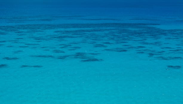 A tropical sea with a clearly visible coral reef beneath the surface