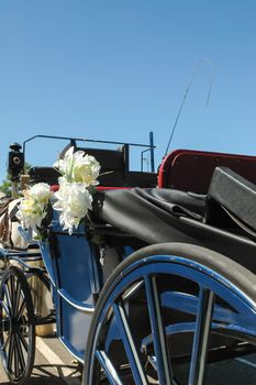 traditional horse-drawn bridal carriage