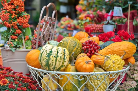 Decorative pumpkins