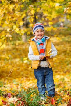 Adorable cute boy with autumn leaves in the beautiful park