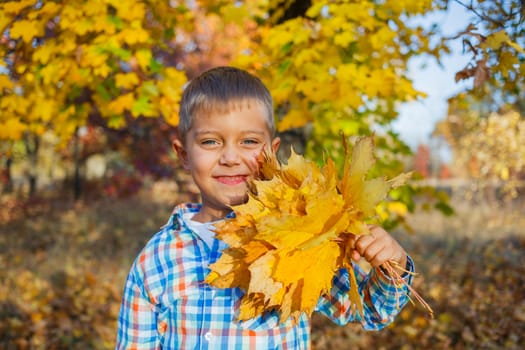 Portrait of Adorable cute boy with autumn leaves in the beautiful park