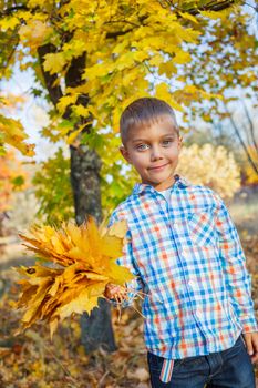 Portrait of Adorable cute boy with autumn leaves in the beautiful park