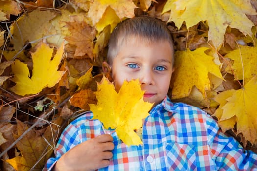 Portrait of Adorable cute boy lying on leaves in the beautiful  autumn park