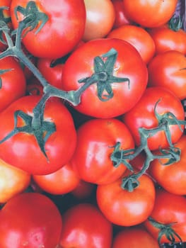 Fresh Tomatoes background