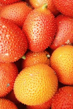 Baby Jackfruit in the market