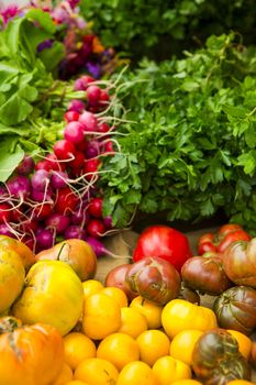 Organic vegetables from a local market