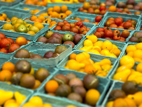 Organic tomatoes from a local market