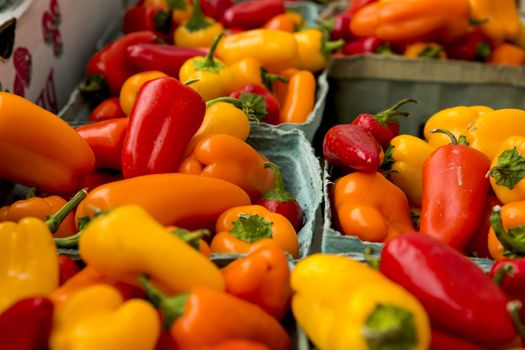 Organic peppers from a local market