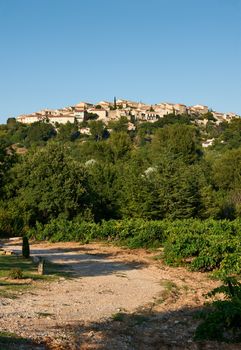 Overview of ancient Grambois village, Provence, France with wineyards in the front