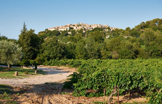 Overview of ancient Grambois village, Provence, France with wineyards in the front