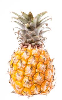 The pineapple on white background. Close up