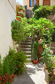 Patio with blooming potted flowers in a greek town