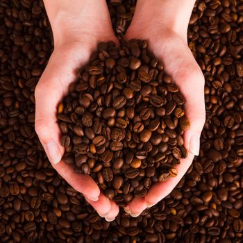 Fresh roasted coffee beans pouring out of cupped hands