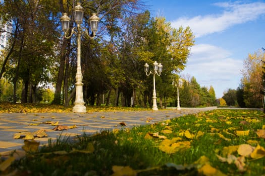 Autumn city park. Green grass, yellow foliage and blue sky - Stock Photo