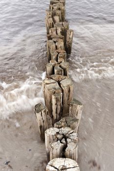 On the Beach of Ahrenshoop in Germany