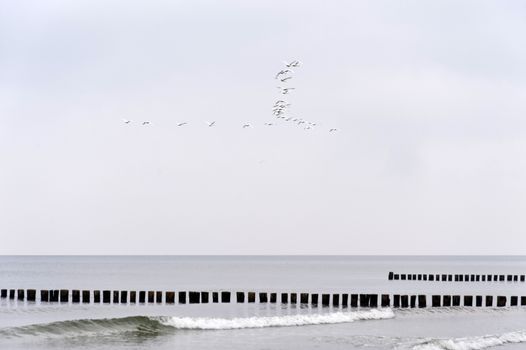 On the Beach of Ahrenshoop in Germany