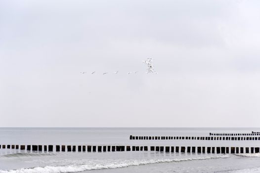 On the Beach of Ahrenshoop in Germany