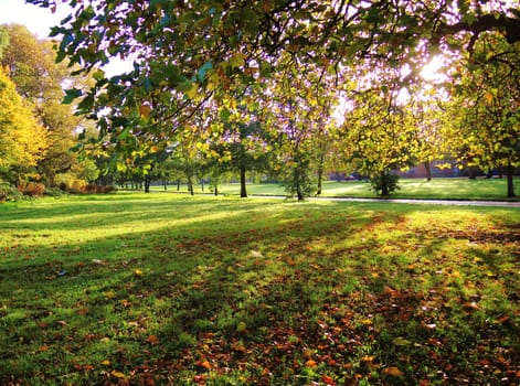 An image of a colourful Autumn landscape.