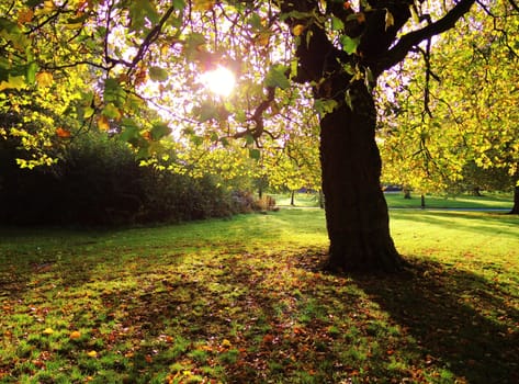 An image of a colourful Autumn scene.