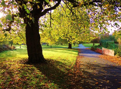 An image of a colourful Autumn landscape.