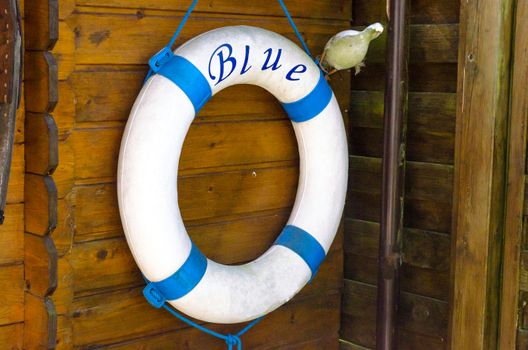 Age Blue White lifebuoy depends orphaned at a wooden hut
