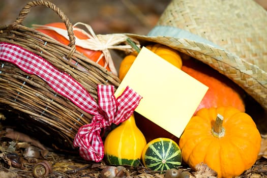 Photo shows a closeup of an autumn various vegetable with the greeting card.