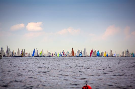 View of the 46 Barcolana regatta in Trieste sea