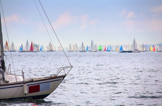 View of the 46 Barcolana regatta in Trieste sea