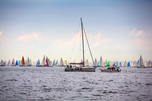 View of the 46 Barcolana regatta in Trieste sea